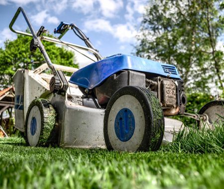 Lawn Services Belleville Il